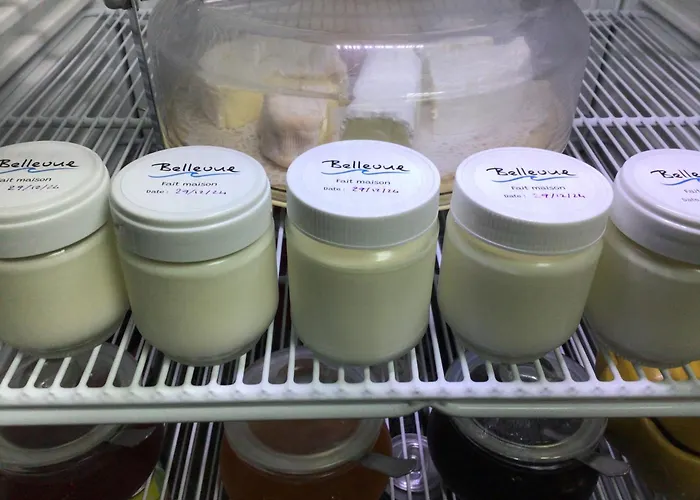 Hotel Bellevue Bagnoles Normandie Bagnoles de l'Orne Normandie